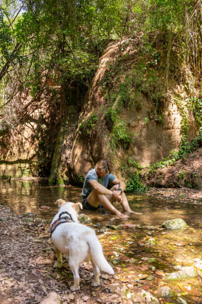 istock White dog at the river 1447910392