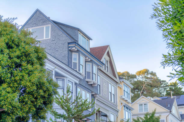 istock Houses in San Francisco, California with different structures 1447912334