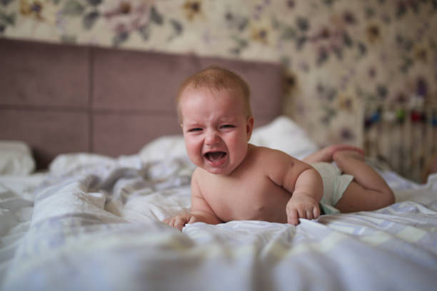 charming baby, 6 months old, crying,on his stomach charming baby, 6 months old, lies crying on his stomach on a bed in a bright, real interior, a childhood end, and teeth are cut, colic of newborns. half dozen babies stock pictures, royalty-free photos & images
