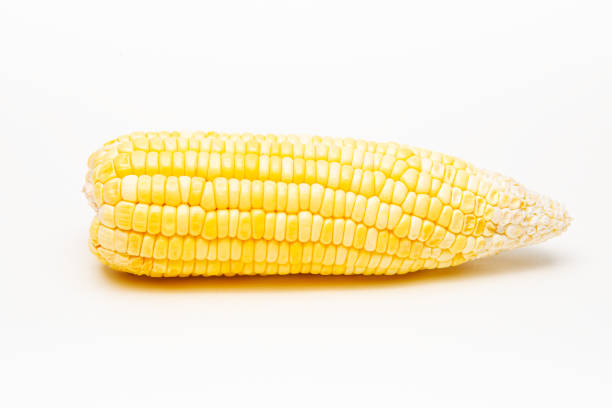 istock Single corn isolated on white background. Food and Healthy Concept. 1447923417