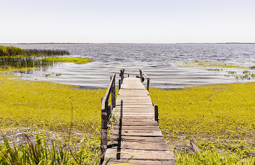 Landscape of an old wooden pier in Ibera Lagoon, Colonia Carlos Pellegrini, Ibera Wetlands, Corrientes, Argentina.