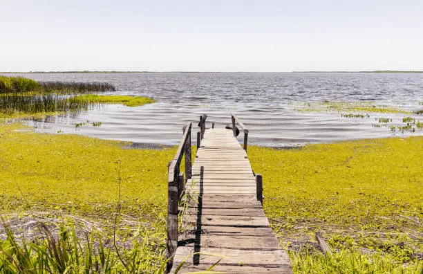 Photo of Landscape of an old wooden pier in Ibera Lagoon, Ibera Wetlands, Corrientes, Argentina.