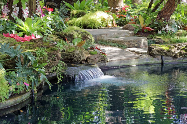 istock Beautiful pond and falling water in an exotic sunlit garden 1447929178