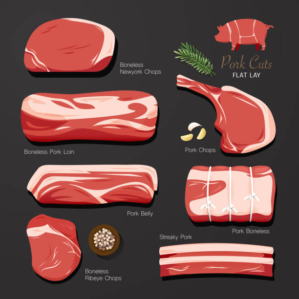 wieprzowina bez kości. kawałek mięsa zestaw. płaski pomysł graficzny. kolekcja. produkty mięsne sklepu mięsnego rzeźnika. ilustracja wektorowa - backgrounds beef close up cooked stock illustrations