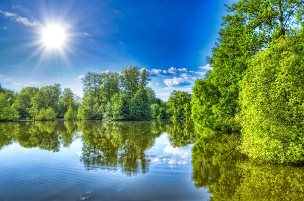 istock Fulda river in Aueweiher Park in Fulda, Hessen, Germany 1447937022