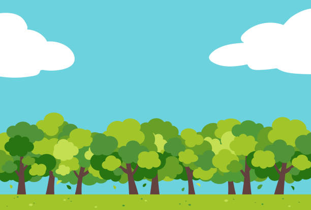Illustration of a simple and cute tree-lined road Illustration of a simple and cute tree-lined road treelined stock illustrations