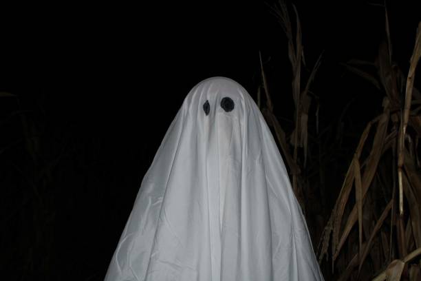 istock A ghost sheet Halloween costume standing in a corn field 1447940514