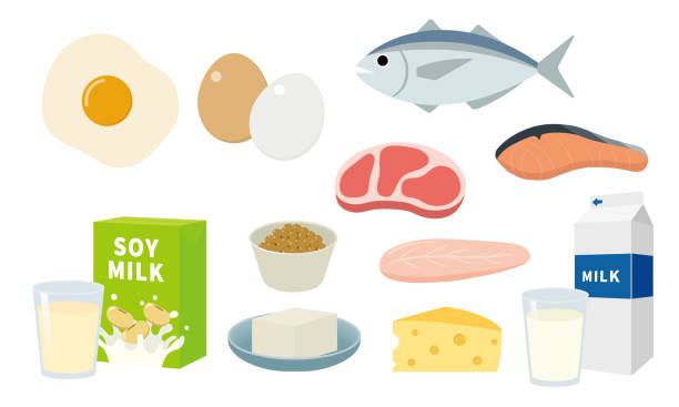 ilustrações, clipart, desenhos animados e ícones de alimentos ricos em proteínas - fillet