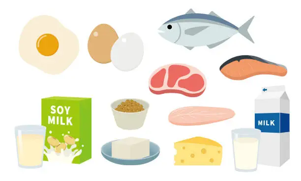 Vector illustration of High-protein foods