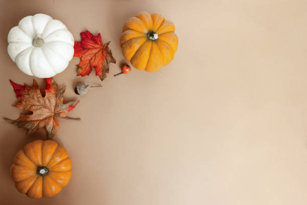 istock Several miniature pumpkins and leaves on a neutral orange surface for harvest Halloween October November home decor 1447943441