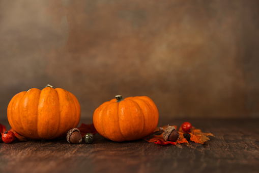 A row of miniature orange pumpkins on a rustic wood surface with a brown abstract background with copy space for a banner or ad.