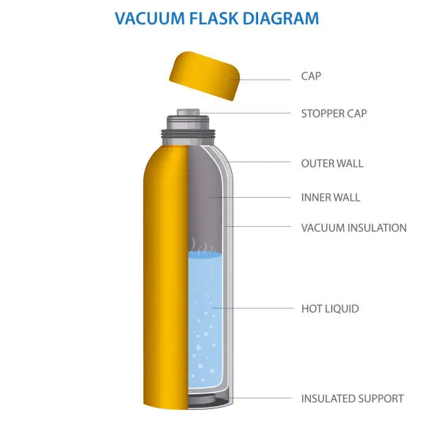 Vector illustration of vacuum flask or Thermo flask fully diagram vector illustration
