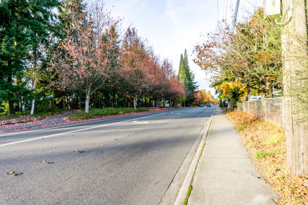 istock Seatac Street Autumn Trees 2 1447957260