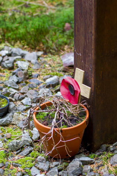 istock World War I Memorial Poppy 1447957271