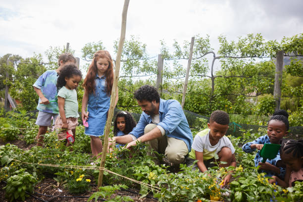 istock Students and their teacher working in a garden during a field trip 1447960423