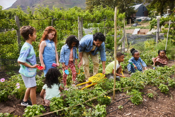 istock Students and their teacher digging in a community garden during a field trip 1447960627