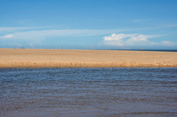 istock Beach under blue sky and white clouds and wind turbine cluster at sea 1447962777