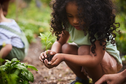 Adorable little girl holding a seedling while helping her father outside in their family's garden