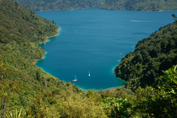 vista desde queen charlotte rastrea hasta la hermosa bahía - queen charlotte track fotografías e imágenes de stock