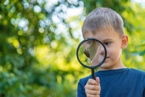 istock The child looks at the snail nature. Selective focus. 1447966022