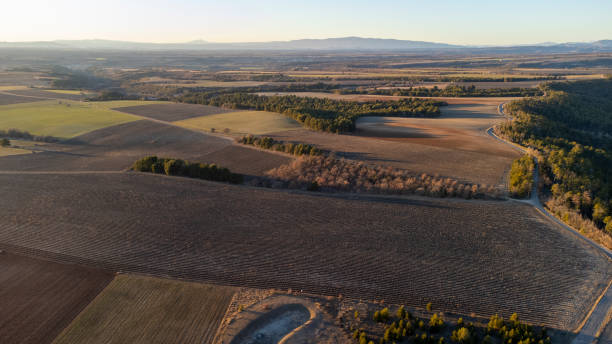 istock The Valensole plateau at sunset 1447966281