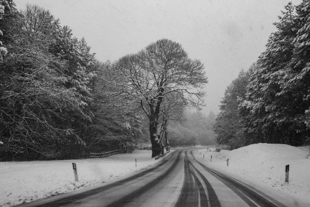 istock Driving in winter: road in the forest with snow 1447966815