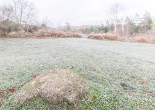 Granite stone on a winters day on Dartmoor