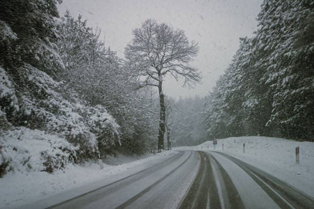 istock Driving in winter: road in the forest with snow 1447967016
