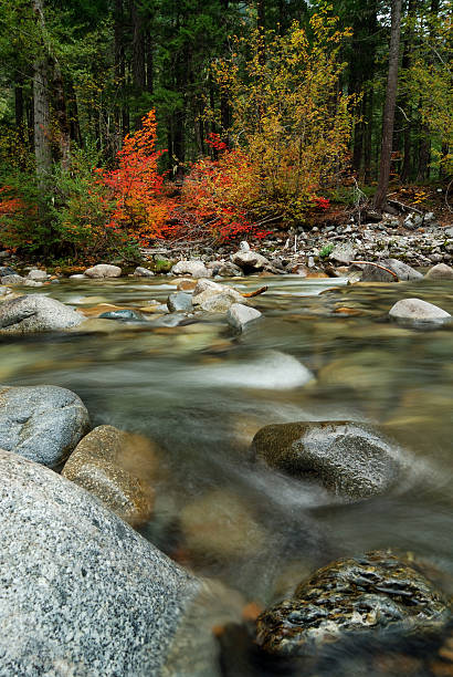 istock Autumn Leaves and Creek 144797441