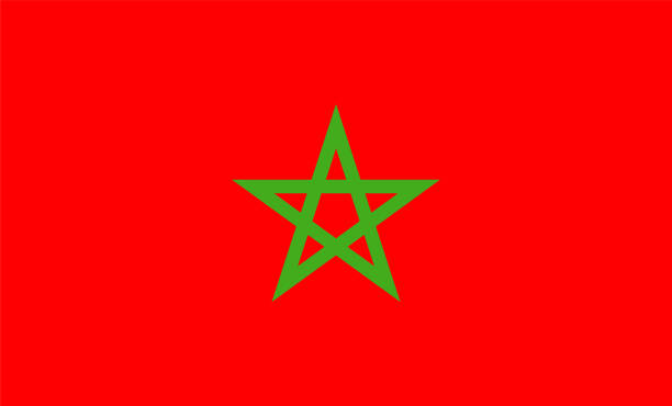 flagge von marokko. - moroccan flags stock-grafiken, -clipart, -cartoons und -symbole