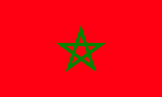Moroccan flag. Vector illustration in HD very easy to make edits.