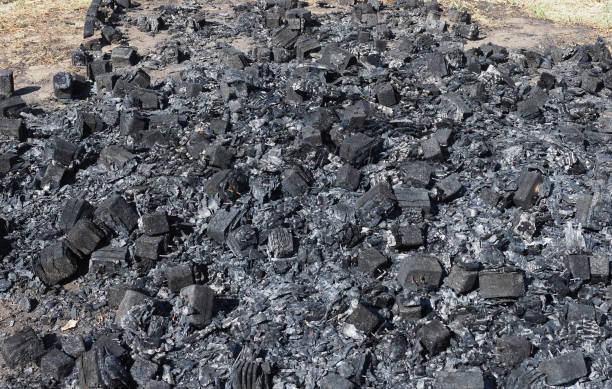 istock charcoal ashes from wood combustion 1447979347