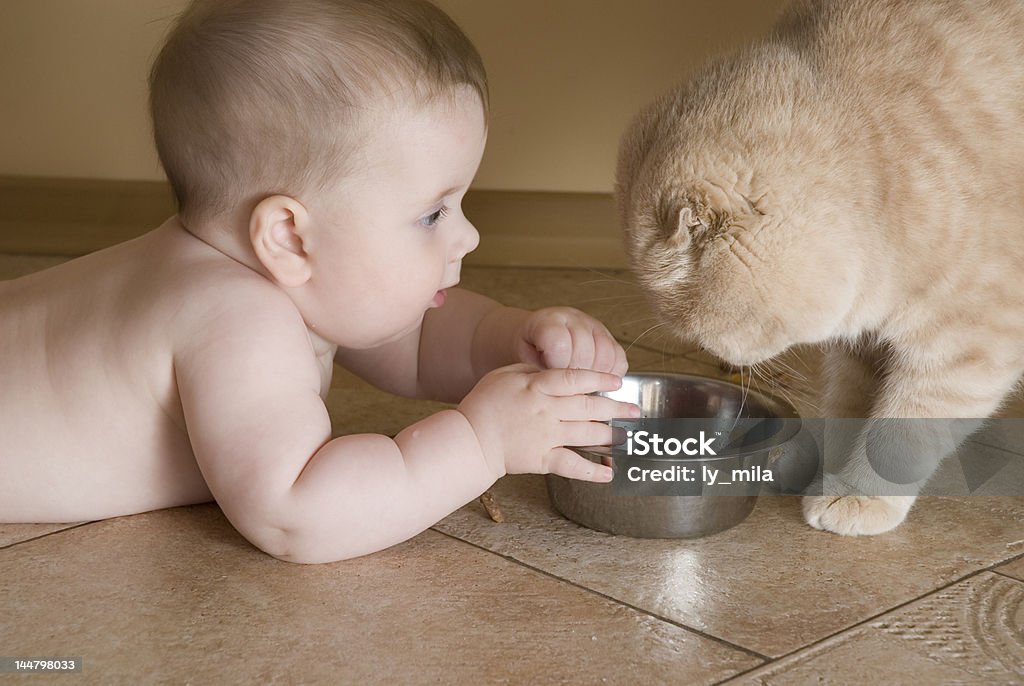 Curiosity 2 6 months old baby and cat nutrition 2-5 Months Stock Photo