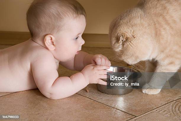 Curiosity 2 Stock Photo - Download Image Now - 2-5 Months, Animal, Baby - Human Age