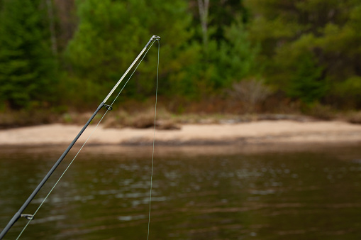 A fishing rod and line goes into the water on the Ottawa River with a forest background