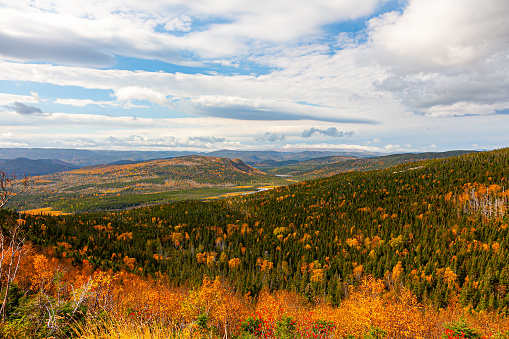 Fall Colors Hits Newfoundland