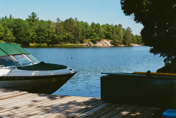 istock A cottage dock, boat & loon on Healy Lake 1447982482