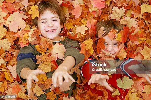 Meninos Brincando Em Folhas - Fotografias de stock e mais imagens de Arremessar - Arremessar, Folha, Outono
