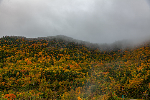 Fall Colors Hits Nova Scotia