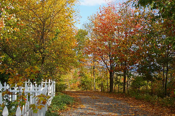 istock Autumn Lane and White Picket Fence 144798325