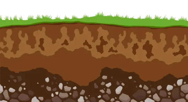 Vector illustration of Surface horizons of soil layers. Earth structure with mixture of organic matter and stones. Flat cartoon paleontological background. Illustrative geology