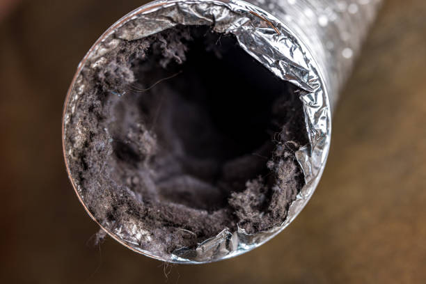 A dirty laundry flexible aluminum dryer vent duct ductwork filled with lint, dust and dirt A dirty laundry flexible aluminum dryer vent duct ductwork filled with lint, dust and dirt. dryer stock pictures, royalty-free photos & images