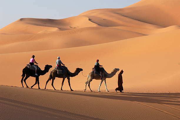 caravana de camellos en el desierto del sahara - morocco desert camel africa fotografías e imágenes de stock