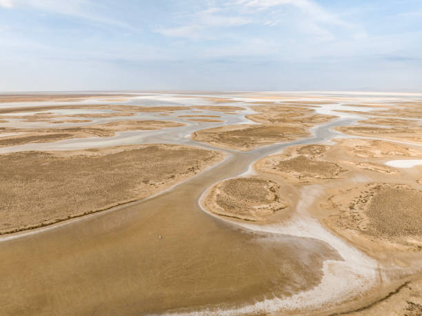 istock Natural shapes and textures on lake 1447997791