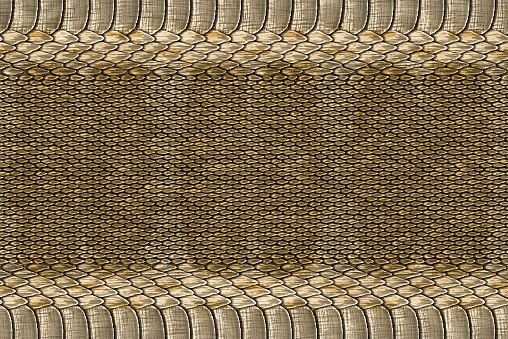 Snake skin texture for background