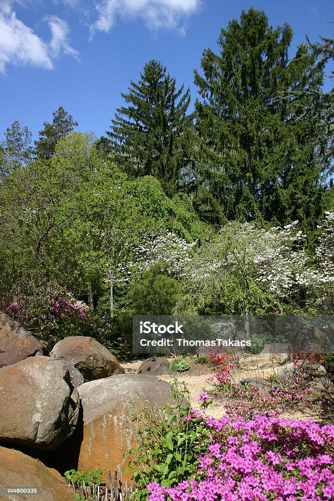 Giardino Zen-Sayen Gardens - Foto stock royalty-free di Hamilton - Montana