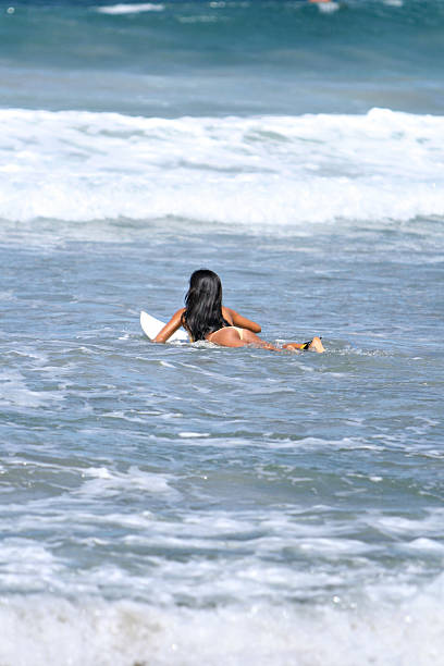 Surf's up - foto de stock