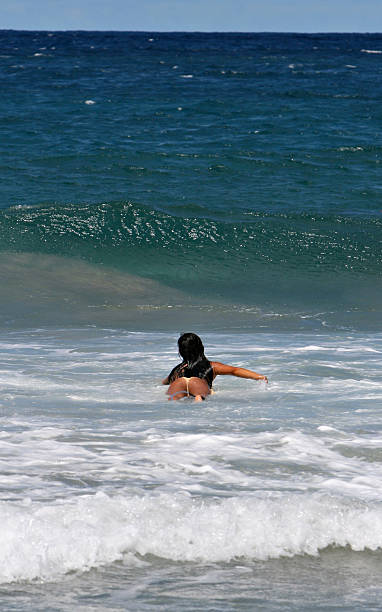 Surf's up - foto de stock