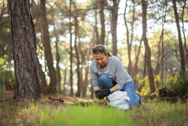 istock Middle age lady doing soil research and cleaning in forest 1448006378