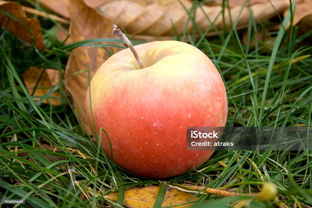 apple no gramado - Foto de stock de Abundância royalty-free